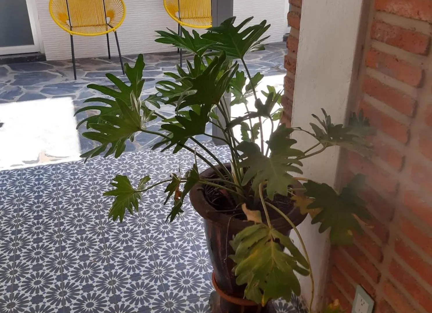 Konukevi Estudio #5 Casa Fatima, 8 Min Del Centro 1 Persona Guadalajara